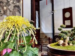 -巴音郭楞蒙古自治州博物馆