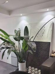 -春田皮肤管理中心品牌旗舰店