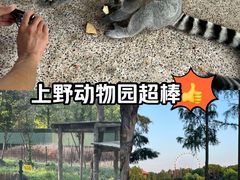 -上海野生动物园
