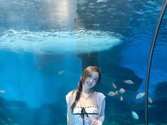 -泉城欧乐堡海洋极地世界