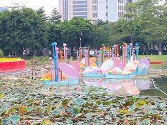 -映月湖公园