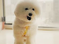 -惠康宠物医院(华能路店)