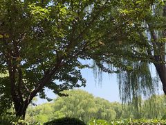 -西安浐灞国家湿地公园