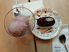 -哈根达斯(武汉天地店)