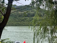 -后柳水乡