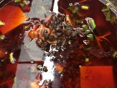 -蓉城西二道无名冒菜(西二道街店)