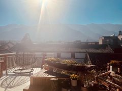 -喵屿·大理花园猫咖