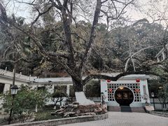 -广东温泉宾馆
