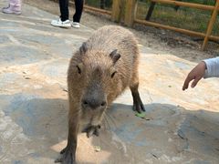 -南戴河国际娱乐中心