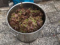 -三鑫酒家(泽州路店)