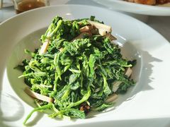 香椿拌香干-大鸭梨烤鸭(顺义石园店)