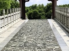 -东湖落雁景区