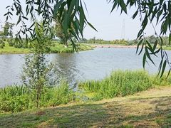 -蒲河岛湿地公园