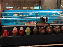 -许家菜(DT51店)