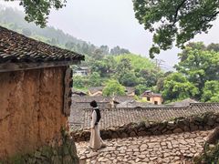 -杨家堂村
