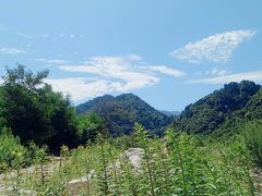 -沣峪口