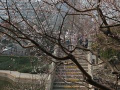 -团结湖公园