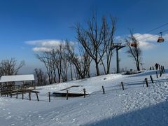 -中旅松花湖滑雪场
