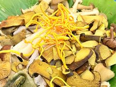 -野菌园·野生菌火锅首创第一家(关兴路总店)