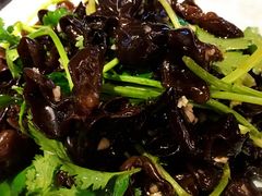凉拌木耳-百味源炭火烤翅 ·夜市大排档(酒仙桥店)