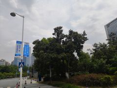 -天鹅湖体育公园