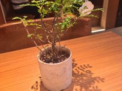 -CURRY YA 熟成咖哩專門店(深圳湾万象城店)