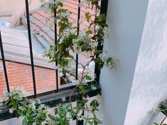 -边渡咖啡烘焙店(昙华林店)