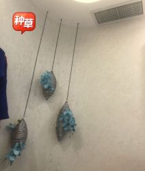 -健身堂科技美肌SPA