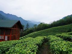 -姑婆山旅游区