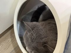 -拜鲁耶动物诊疗中心·宠家动物医院