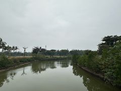 -万绿园