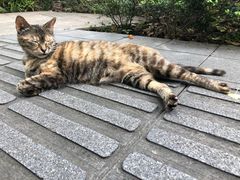 -印象莫奈时光映迹艺术展