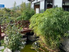 -蘇河湾·新鲁菜·泰山宴(泰山店)