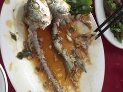 -蛇口康乐快餐鱼仔档(翠苑小区店)