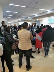 -上海交通大学医学院附属上海儿童医学中心(陆家嘴总院区)