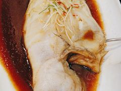 -金狮麟·新豫菜(金码大厦店)