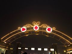 -武汉知音号