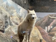 -西安曲江海洋极地公园
