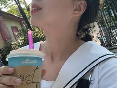 -史努比缤纷世界