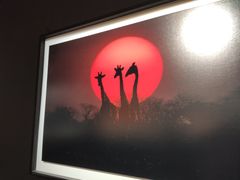 -罗红摄影艺术馆