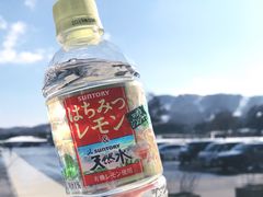 -轻井泽王子购物广场