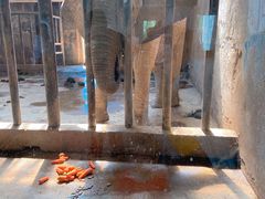 -石家庄市动物园