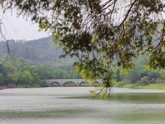 -番禺大夫山森林公园