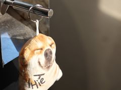 -啡语