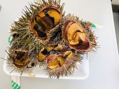 -悉尼鱼市场