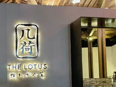 -几荷·恰似故人来(秀水广场店)