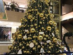 -同庆楼(金宝汇店)