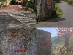 -木兰云雾山