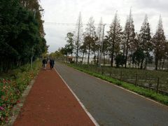 -上海长兴岛郊野公园