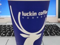 -瑞幸咖啡(雅宝东方国际广场店)